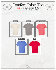 SIZE 3XL | COMFORT COLORS TSHIRTS