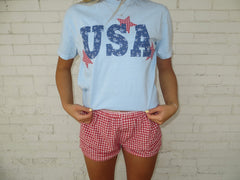 CHAMRBAY FLORAL  USA + RED GINGHAM STARS - LIGHT BLUE TSHIRT