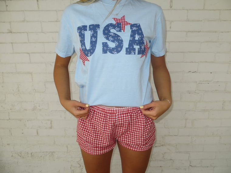 CHAMRBAY FLORAL  USA + RED GINGHAM STARS - LIGHT BLUE TSHIRT