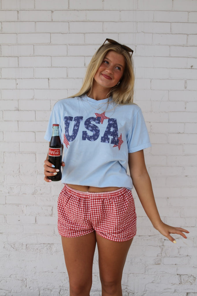 CHAMRBAY FLORAL  USA + RED GINGHAM STARS - LIGHT BLUE TSHIRT