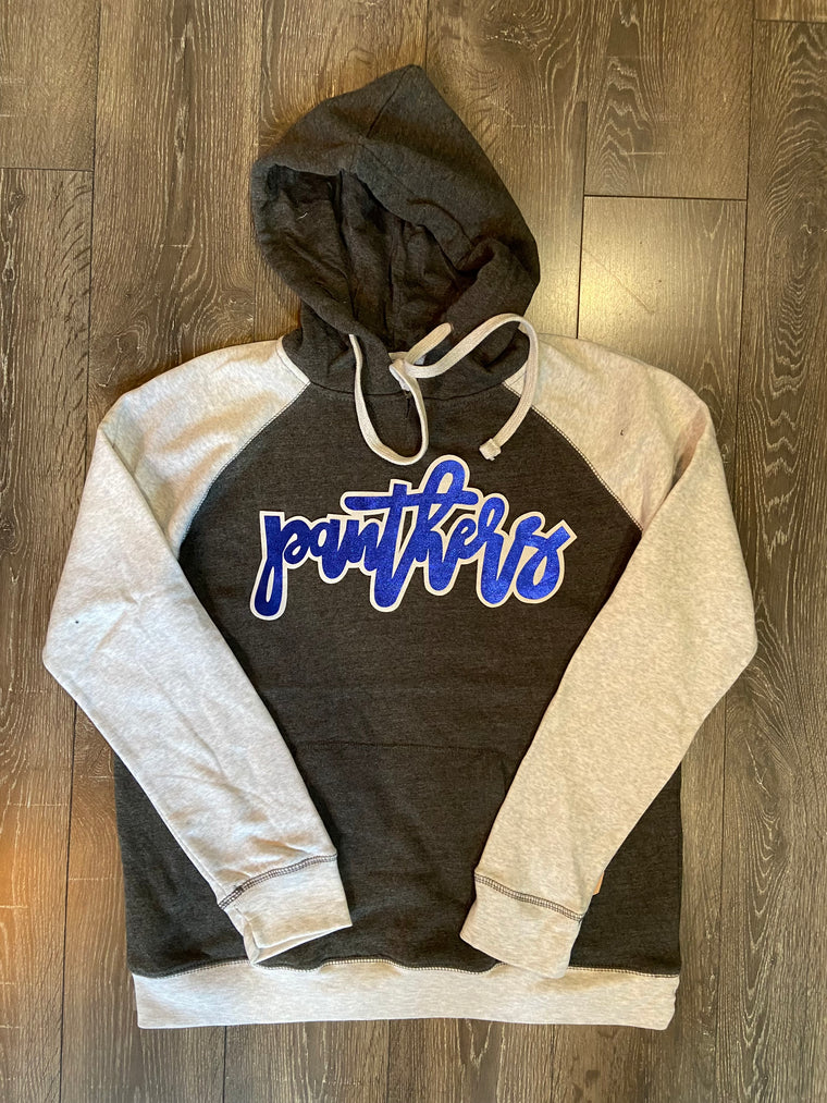 PANTHERS - COLORBLOCK HOODIE